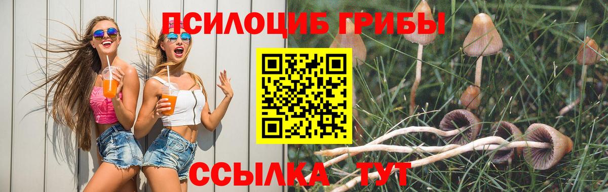Псилоцибиновые грибы Psilocybine cubensis  Галлюциногенные грибы мухоморы  Вход с VPN  Дзержинский 